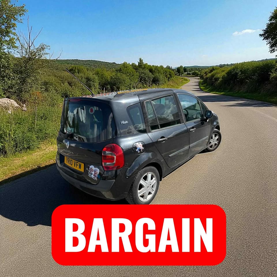 2010 - RENAULT MODUS