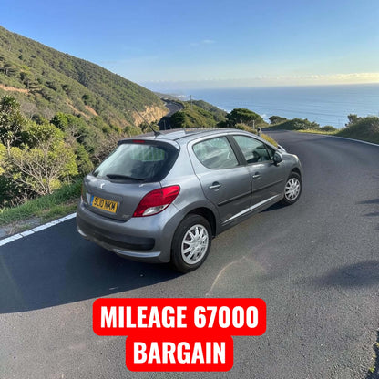 2010-PEUGEOT 207