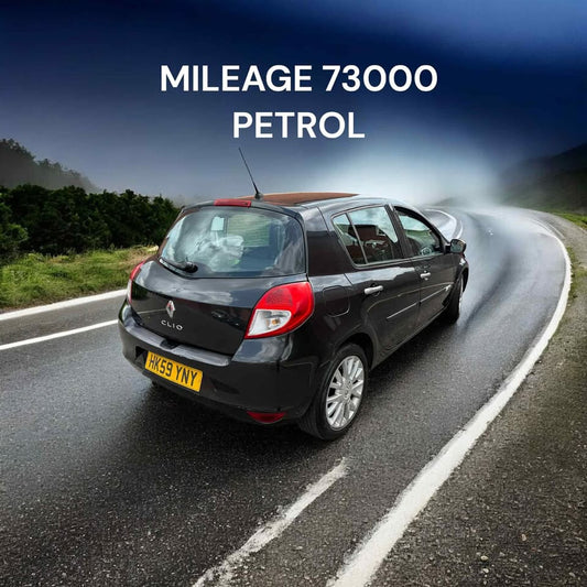 2010 - RENAULT CLIO